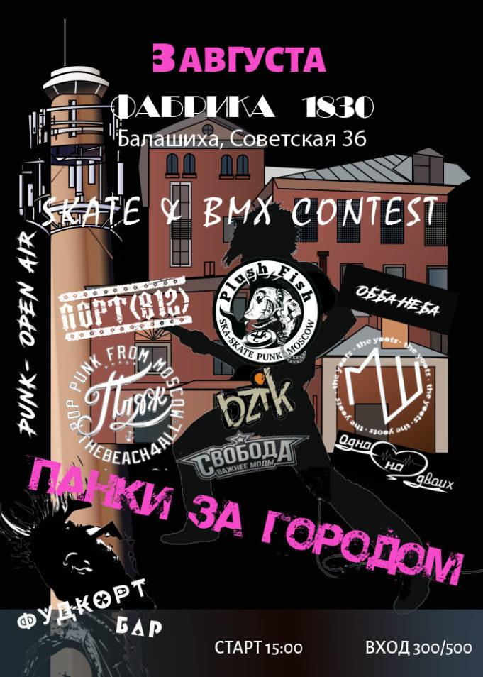 ПАНКИ (2)