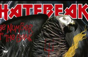 Hatebeak попугайный дэт-метал