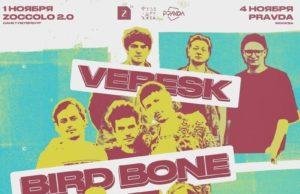 bird bone, veresk и «Пекинский велосипед» дадут совместные концерты в Москве и Санкт-Петербурге bird bone, veresk и «Пекинский велосипед» дадут совместные концерты в Москве и Санкт-Петербурге