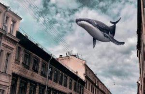 «MONOЛИЗА» выпустили пятый студийный альбом по названием «Кит» «MONOЛИЗА» выпустили пятый студийный альбом по названием «Кит»